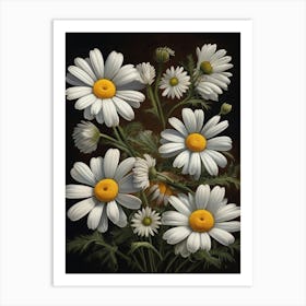 Marguerite Daisies Vintage Floral Art Print