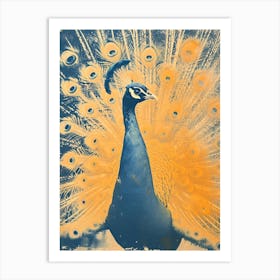 Blue & Orange Peacock Feathers Art Print