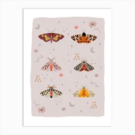 Colorful Moths Art Print