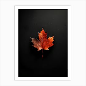 Maple Leaf On Black Background Art Print