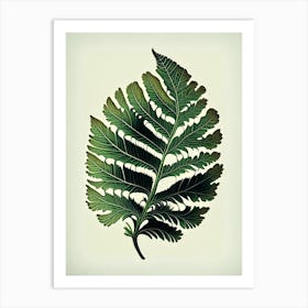 Maidenhair Fern Leaf Vintage Botanical Art Print