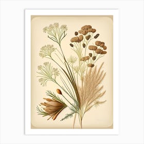 Caraway Spices And Herbs Retro Drawing 3 Art Print
