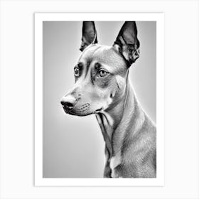 German Pinscher B&W Pencil Dog Art Print