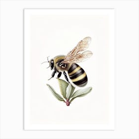 Solitary Bee 4 Vintage Art Print