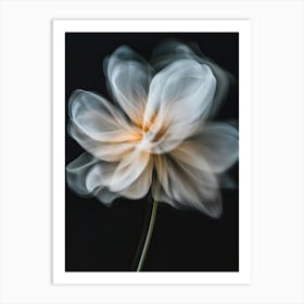 Flower In Motion 2 Art Print