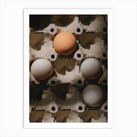 Eggs In A Carton 1 Art Print