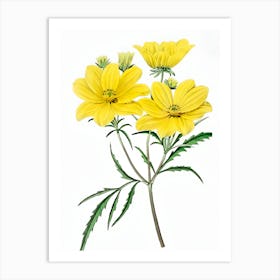 Yellow Cosmos Art Print