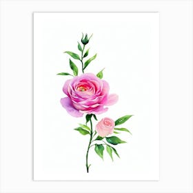 Rose Watercolour Flower Art Print