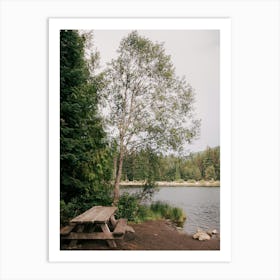 Picnic Lake Art Print