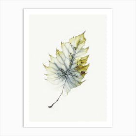 Witch Hazel Leaf Minimalist Watercolour 1 Art Print