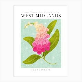 County Flower of West Midlands The Foxglove Art Print