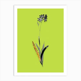 Vintage Corn Lily Black and White Gold Leaf Floral Art on Chartreuse n.0128 Art Print