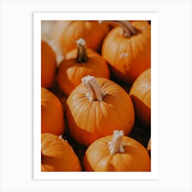 Perfect Pumpkins Art Print