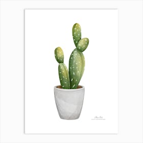 Aloe vera plant. Green plant. Beautiful plant. Thorns plant. Aloe vera flowers.5 Art Print