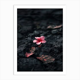 Flower In The Dirt 4 Art Print