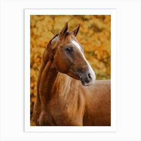 Sorrel Horse In Fall Art Print