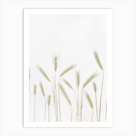 Wheat Stalks On White Background Art Print