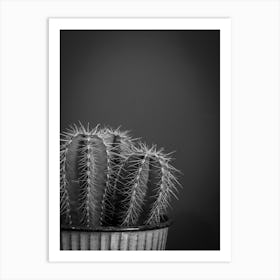 Black and white botanical cactus - moody and dark plant - fall and winter photography by Christa Stroo Photography Art Print