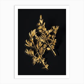 Vintage Wild Olive Botanical in Gold on Black n.0606 Art Print