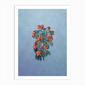 Vintage Sweet Scented Hawthorn Botanical Art on Summer Song Blue Art Print