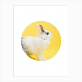 Rabbit On Yellow Background Art Print