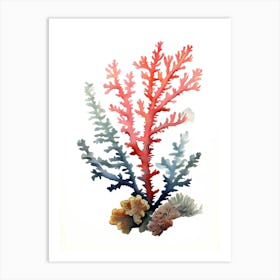 Acropora Nasuta 2 Vintage Graphic Watercolour (6) (1) Art Print