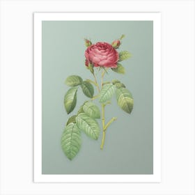 Vintage Red Gallic Rose Botanical Art on Mint Green n.0176 Art Print