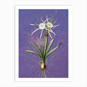 Vintage Streambank Spiderlily Botanical Illustration on Veri Peri n.0627 Art Print