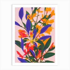 Himalayan Honeysuckle Colourful Illustration Art Print