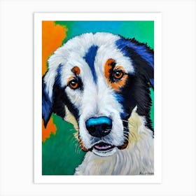 Border Collie Fauvist Style Dog Art Print