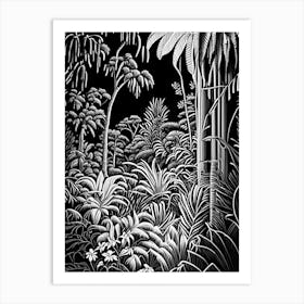 Fairchild Tropical Botanic Garden, 1, Usa Linocut Black And White Vintage Art Print