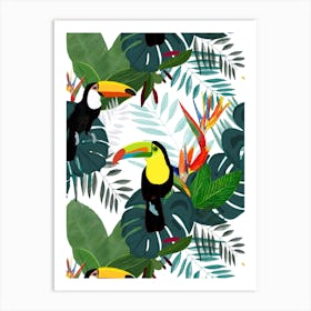 Toucan Bird Of Paradise Art Print