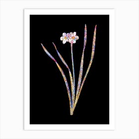 Stained Glass Primrose Peerless Mosaic Botanical Illustration on Black n.0168 Art Print