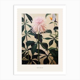 Flower Illustration Bee Balm 2 Poster Art Print