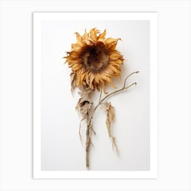 Dead Sunflower Art Print