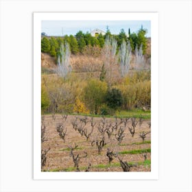 Vineyard In Spain 20211128 187ppub Art Print