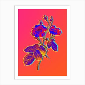 Neon Anemone Centuries Rose Botanical in Hot Pink and Electric Blue Art Print