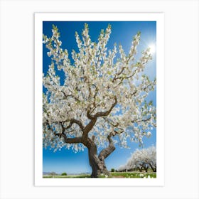 Celebrate Spring With A Cherry Blossom Tour 1 Art Print