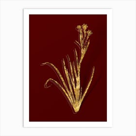 Vintage Bermudiana Botanical in Gold on Red Art Print