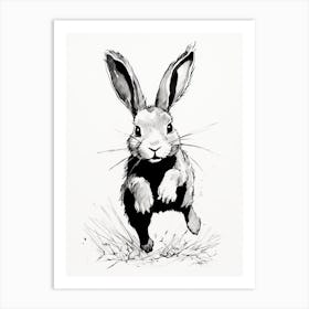 Rabbit Prints Ink Drawing Black And White 7 Art Print