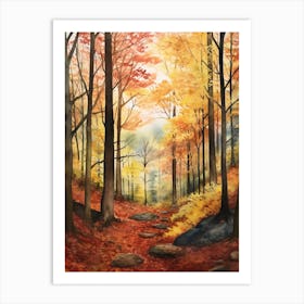 Autumn Forest Landscape Black Forest Germany 1 Art Print