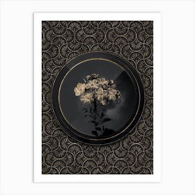 Shadowy Vintage Plumbago Caerulea Botanical in Black and Gold n.0001 Art Print