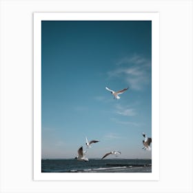 Seaside And Gulls Art Print