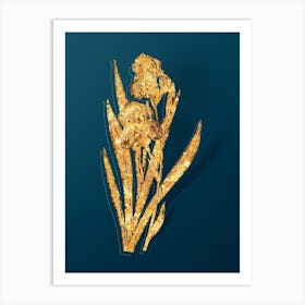 Vintage German Iris Botanical in Gold on Teal Blue n.0145 Art Print