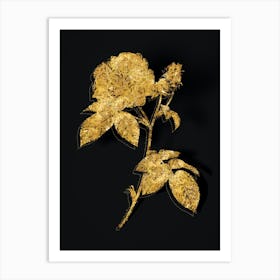 Vintage Apothecary Rose Botanical in Gold on Black n.0042 Art Print