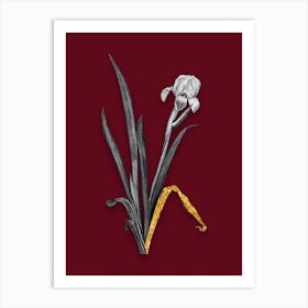 Vintage Crimean Iris Black and White Gold Leaf Floral Art on Burgundy Red n.0101 Art Print