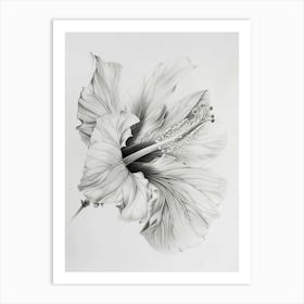 Hibiscus 2 Art Print