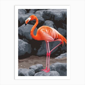 Greater Flamingo Galapagos Islands Ecuador Tropical Illustration 2 Art Print