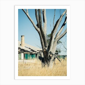 Ravaged Tree & Farmhouse Australia Art Print