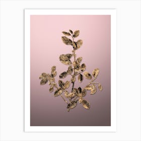 Gold Botanical Italian Buckthorn on Rose Quartz n.2880 Art Print